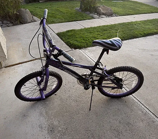 Dynacraft Inspire 20” BMX Bike Purple/Black 1-Speed Caliper Brake Chain Guard