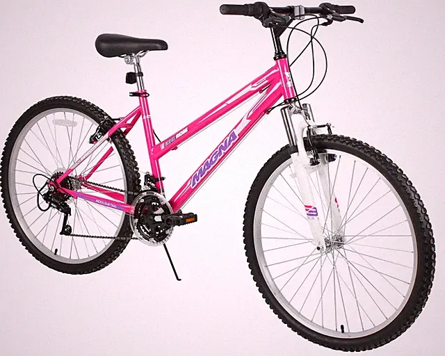 Mountain Bike 26 Inch Rugged Durable Design Teens Adults Dynacraft Magna Echo